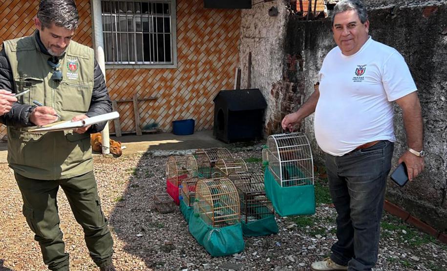 AGENTES COM AVES APREENDIDAS EM GAIOLAS