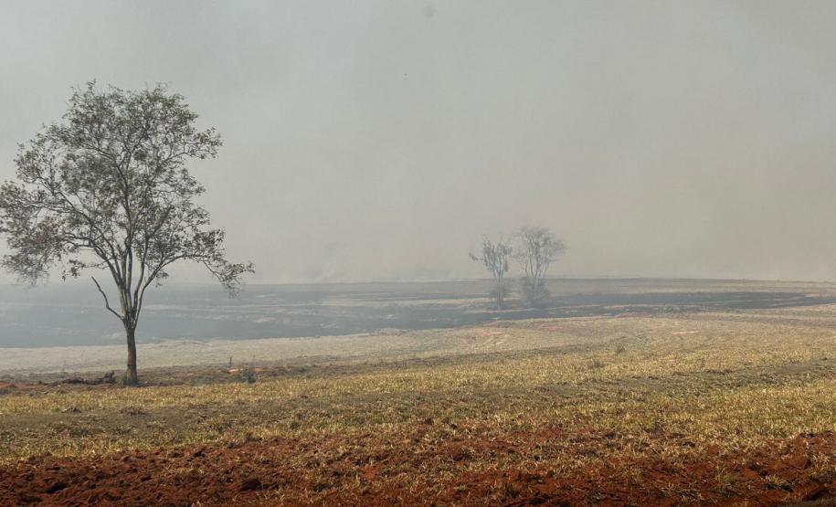 NEBLINA CAUSADA PELA FUMAÇA DO INCÊNDIO