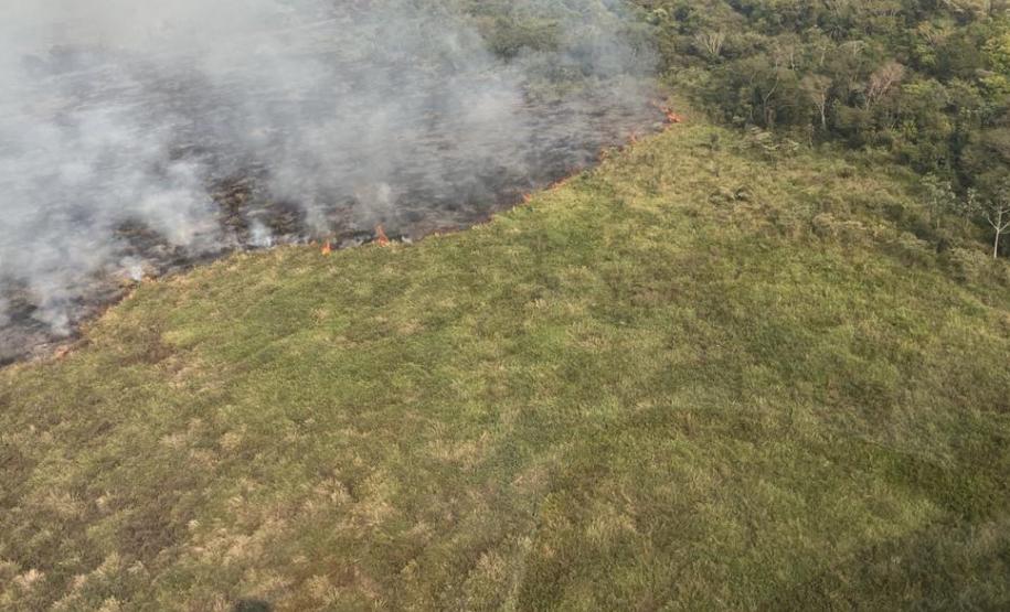 QUEIMADA EM MEIO VEGETAÇÃO
