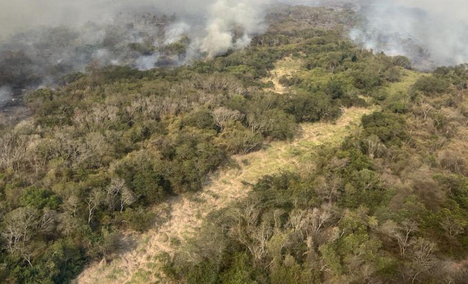 QUEIMADA EM MEIO VEGETAÇÃO