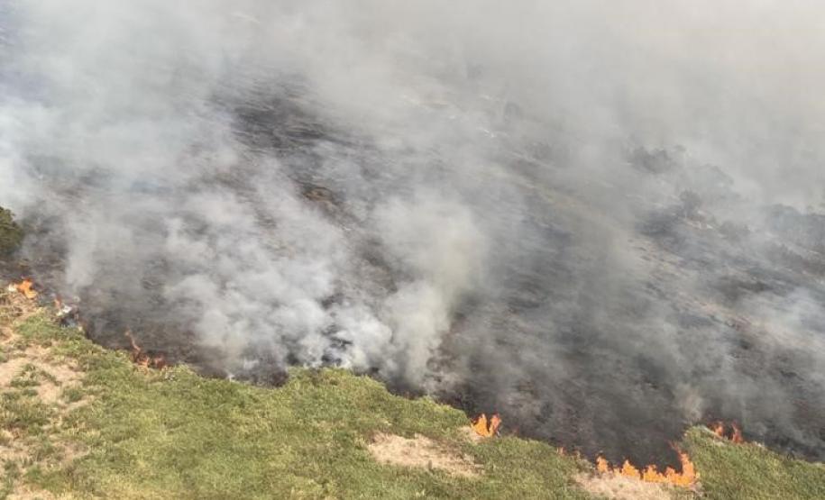 QUEIMADA EM MEIO VEGETAÇÃO