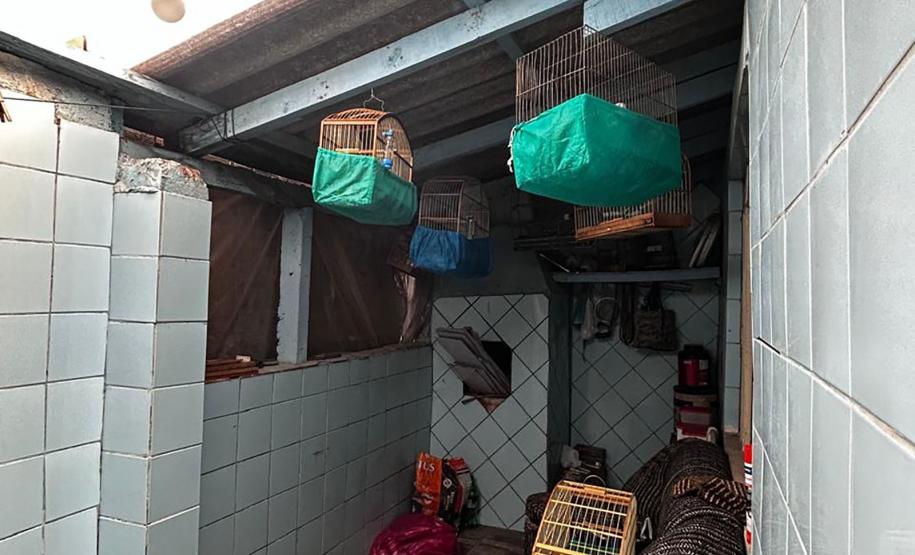 AVES APREENDIDAS EM GAIOLAS