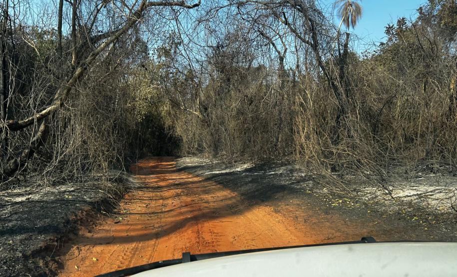 CENAS DE PÓS-INCÊNDIOS