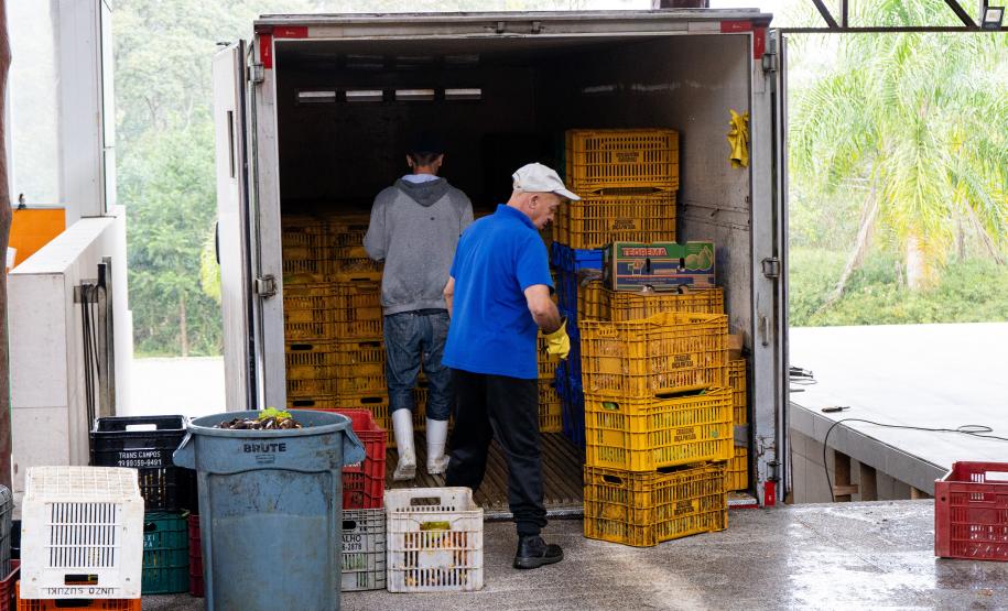 FUNCIONÁRIOS EM AÇÃO