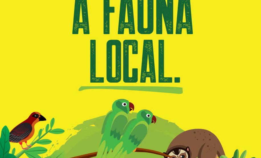 placa em cores primárias