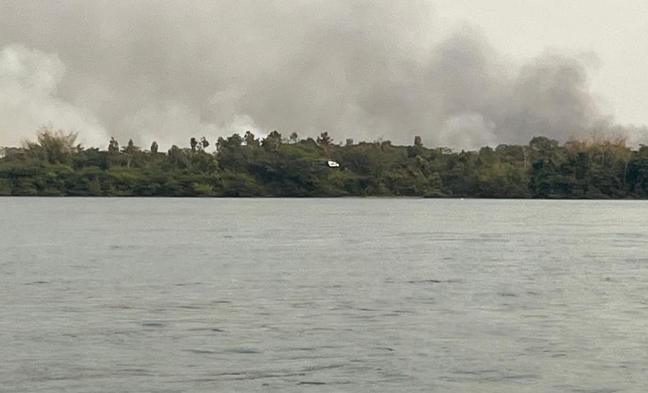 QUEIMADA EM MEIO VEGETAÇÃO