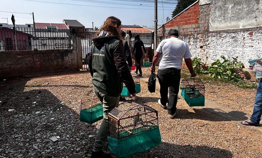 AGENTES COM AVES APREENDIDAS EM GAIOLASAGENTES COM AVES APREENDIDAS EM GAIOLAS