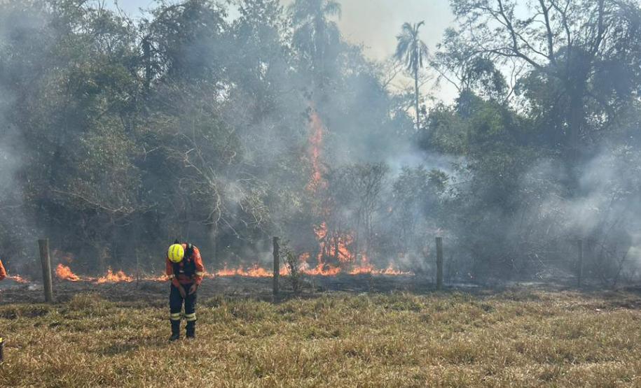 INCÊNDIO COM BOMBEIRO EM AÇÃO