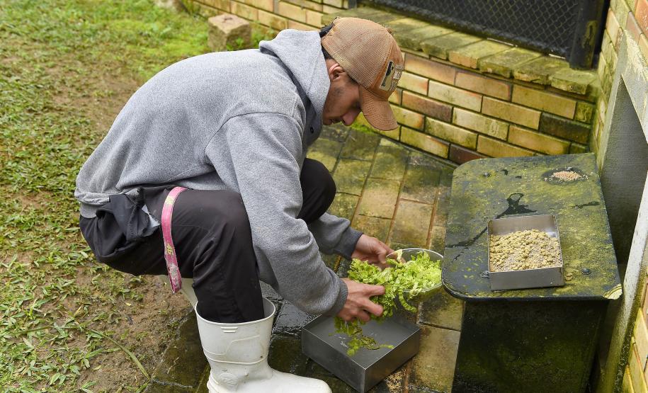 FUNCIONÁRIO EM AÇÃO