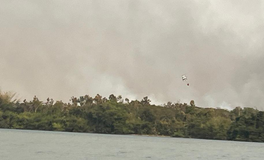 QUEIMADA EM MEIO VEGETAÇÃO