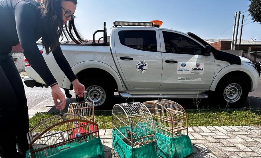 AGENTE COM AVES APREENDIDAS EM GAIOLAS
