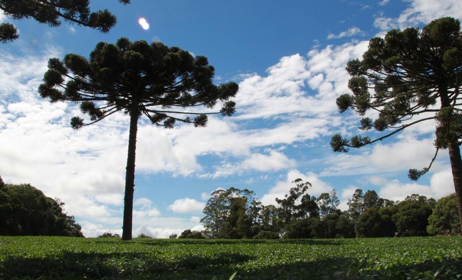 Foto de reunião de sustentabilidade