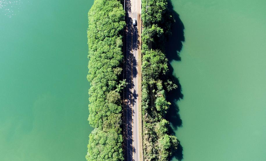 Foto de rodovia envolta por árvores