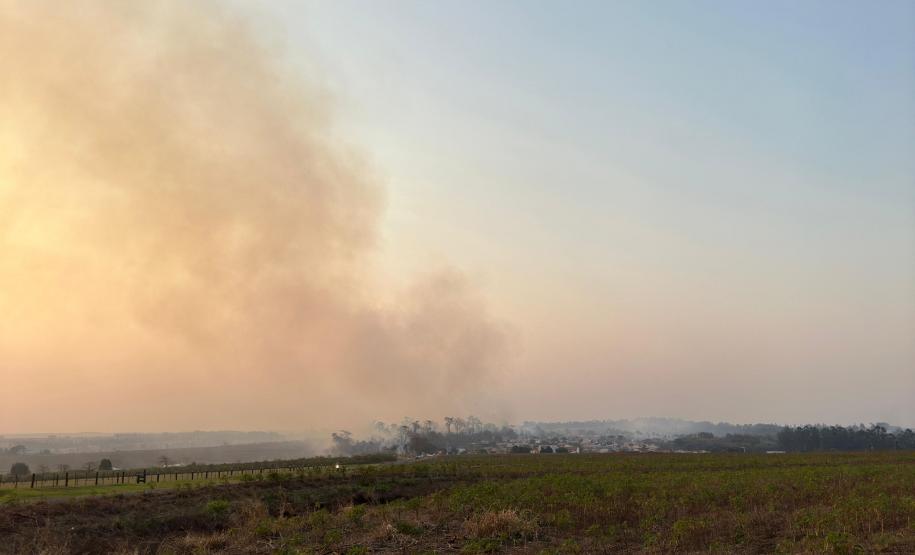 Foto de área queimada por incêndio