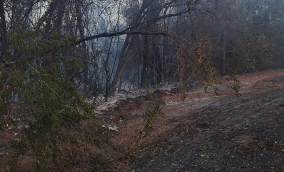 Foto de área queimada por incêndio