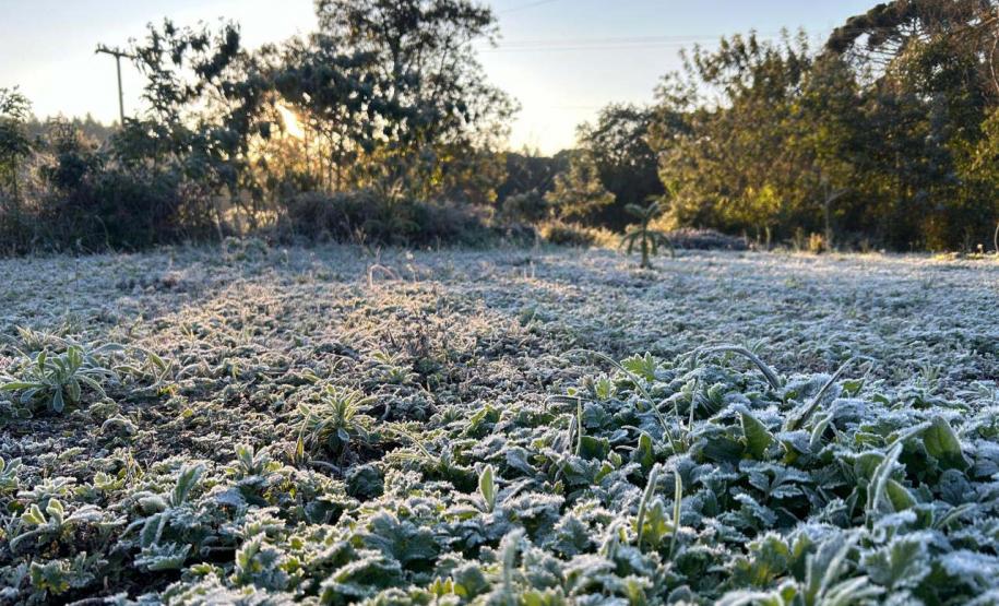 Foto de geada no Paraná