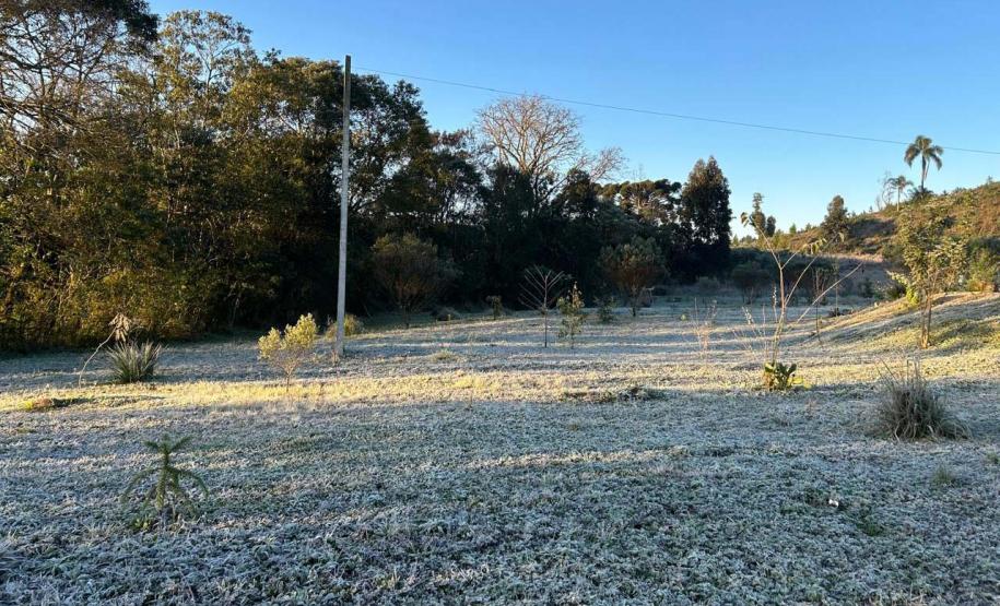 Foto de geada no Paraná