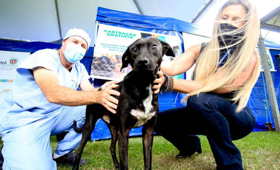 AÇÕES DO CASTRAPET