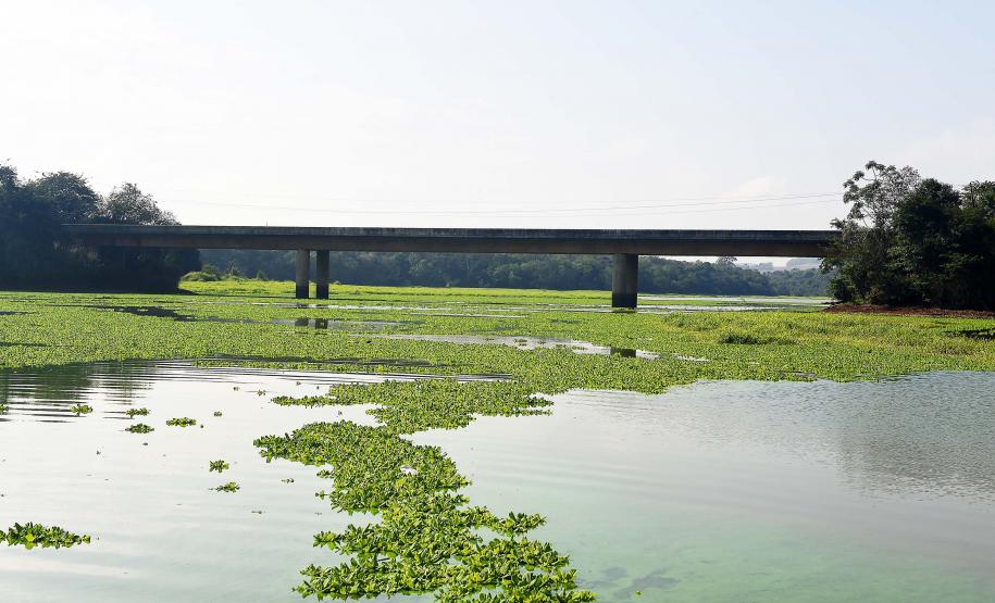 rio com ponte ao fundo