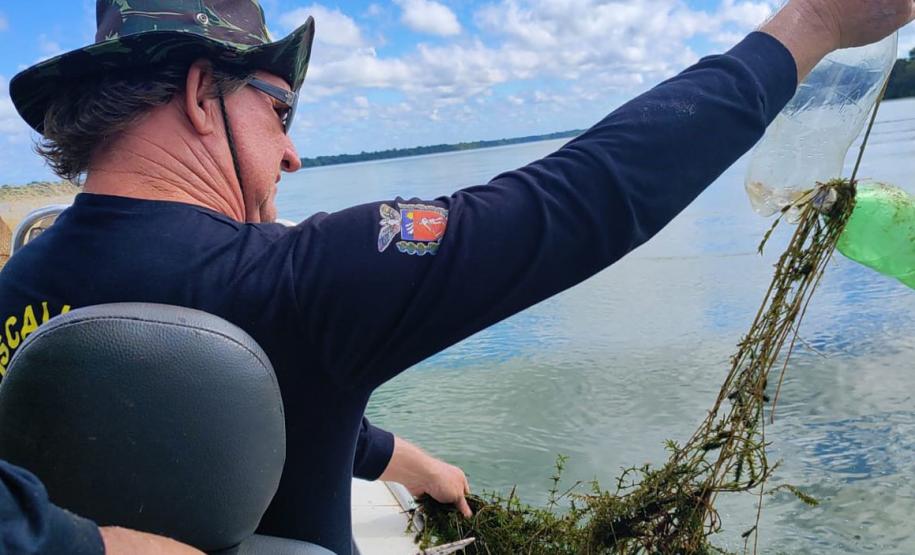 FISCAL COM REDE NA MÃO