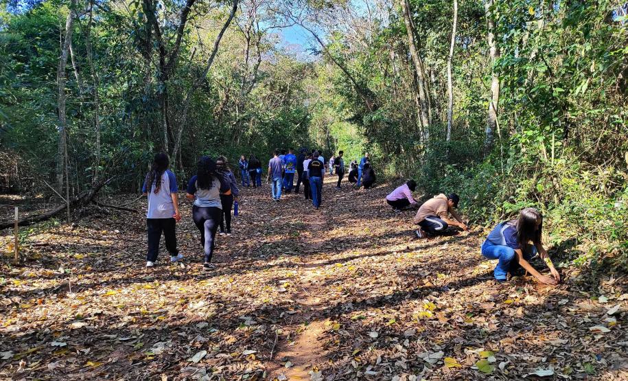 CENAS DE EDUCAÇÃO AMBIENTAL E DISTRIBUIÇÃO DE MUDAS