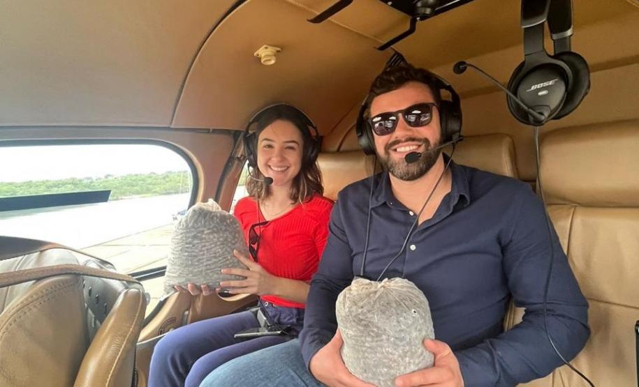 DISPERSÃO AÉREA DE SEMENTES