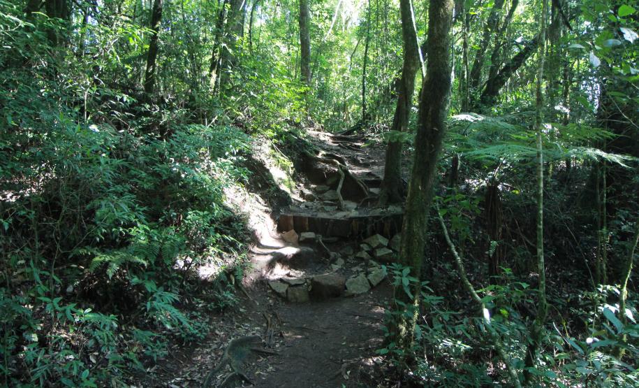 IMAGENS DA UC E DA TRILHA