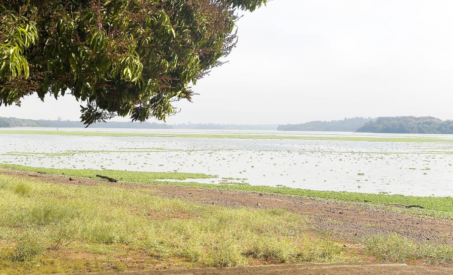 paisagem