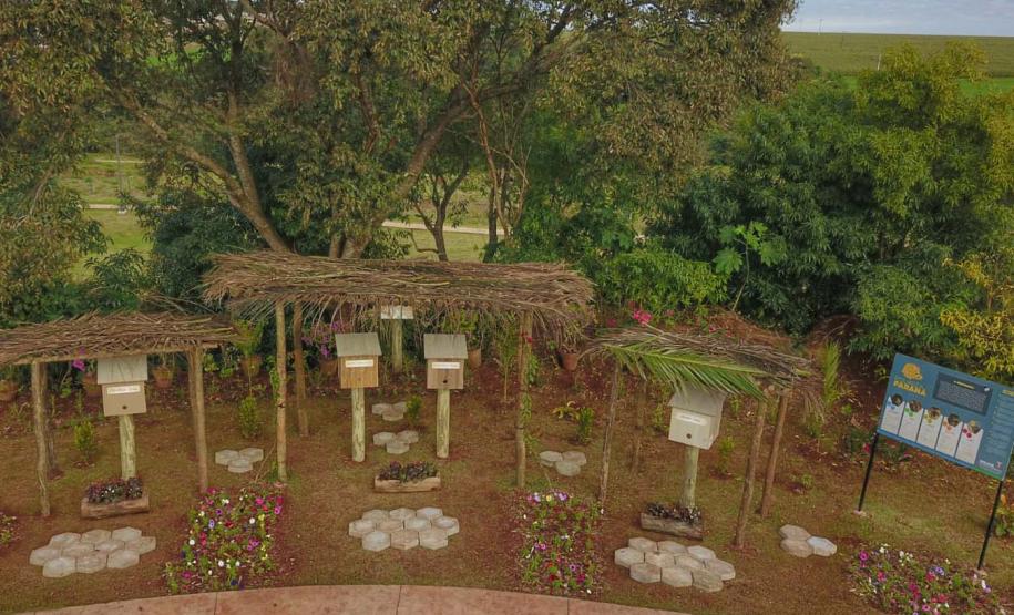 ABELHAS, MELIPONARIOS