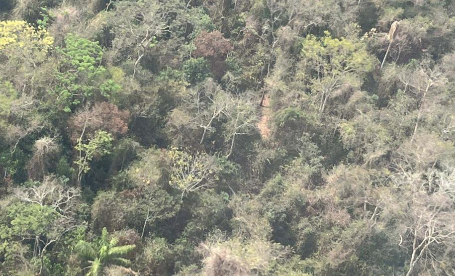 ÁREA AFETADA PELAS CHAMAS