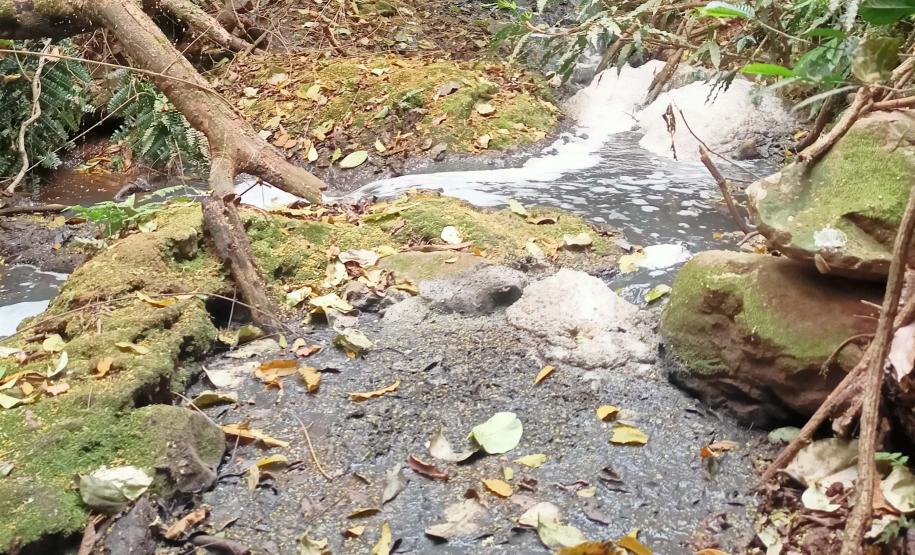 IMAGENS DE FISCALIZAÇÃO E POLUIÇÃO