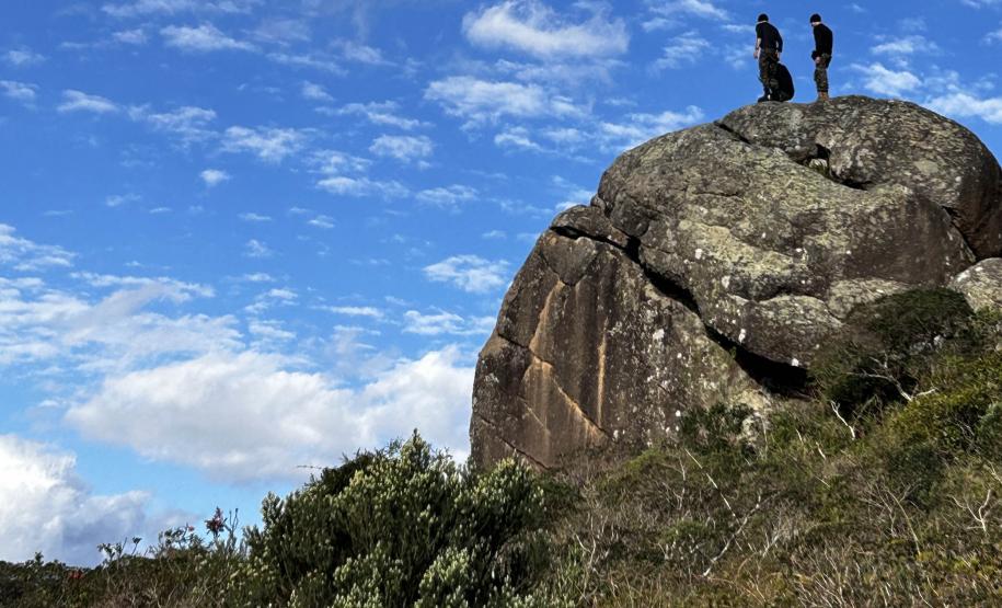 CENAS DE CONTATO COM A NATUREZA