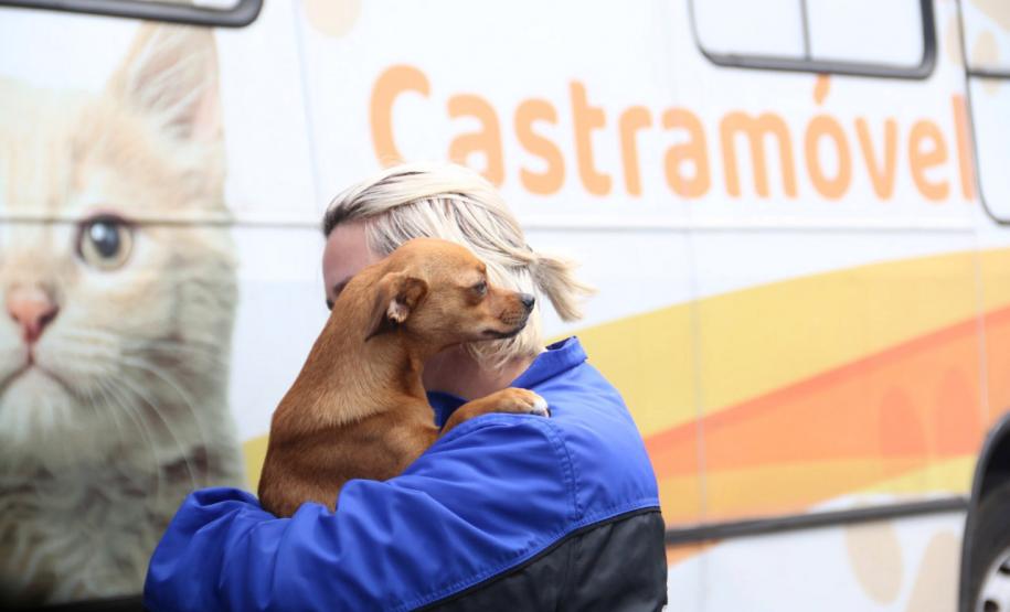 AÇÕES DO CASTRAPET