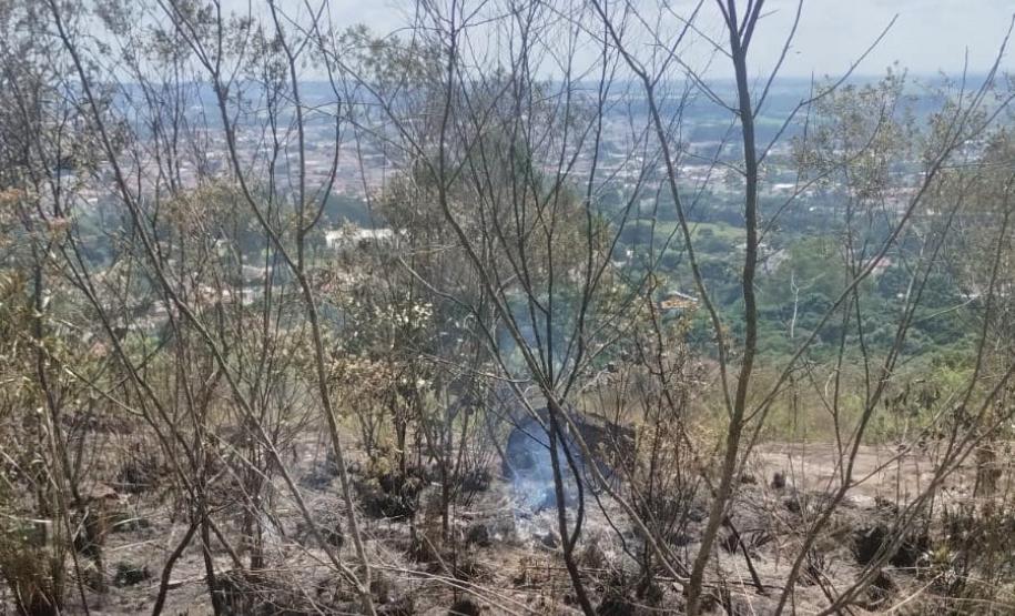 PÓS-QUEIMADA EM VEGETAÇÃO