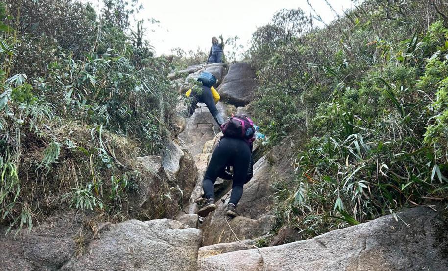 CENAS DE CONTATO COM A NATUREZA