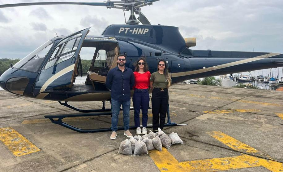 DISPERSÃO AÉREA DE SEMENTES