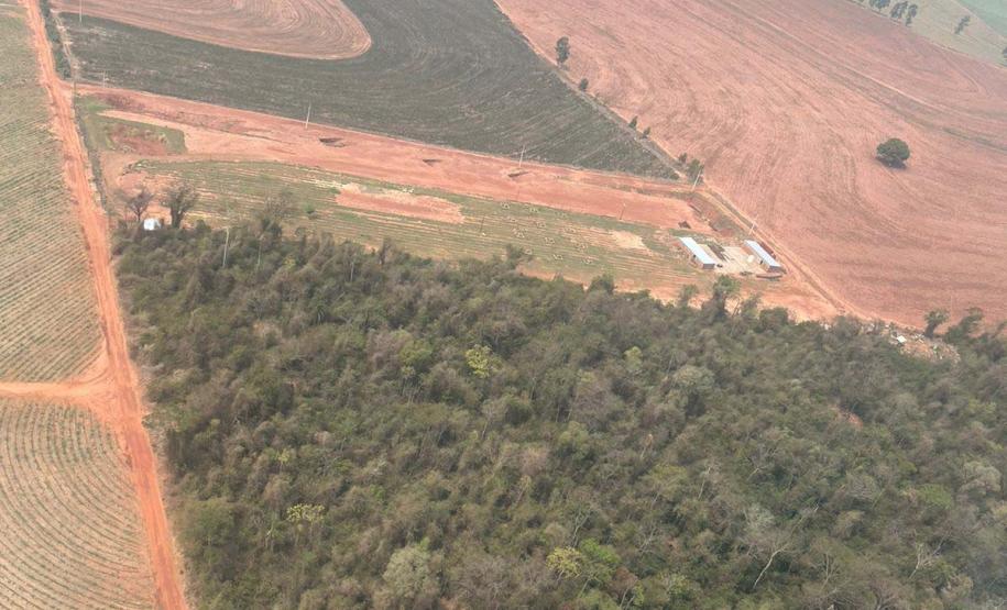 ÁREA AFETADA PELAS CHAMAS