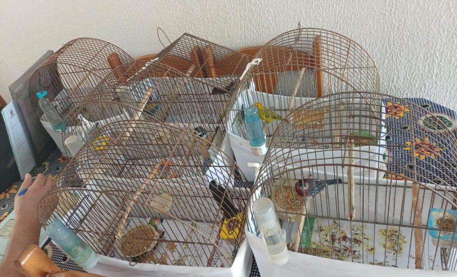 ANIMAIS EM CATIVEIRO