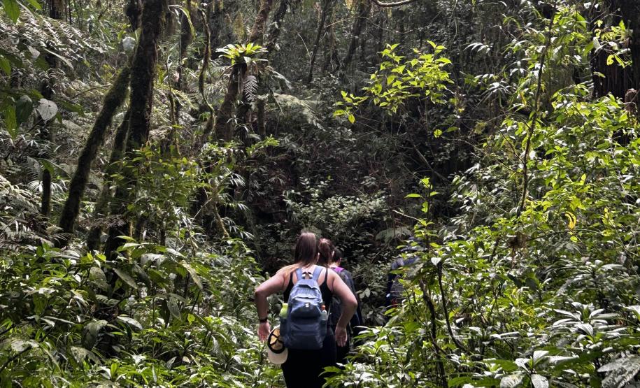 CENAS DE CONTATO COM A NATUREZA