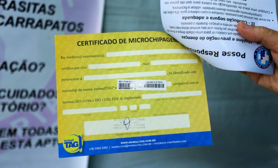 AÇÕES DO CASTRAPET