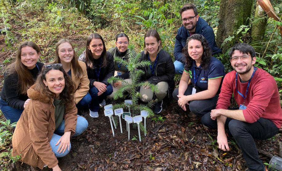 CENAS DE EDUCAÇÃO AMBIENTAL E DISTRIBUIÇÃO DE MUDAS