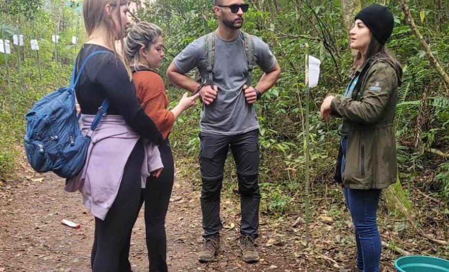 CENAS DE CONTATO COM A NATUREZA