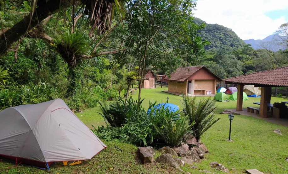 CENAS DE CONTATO COM A NATUREZA