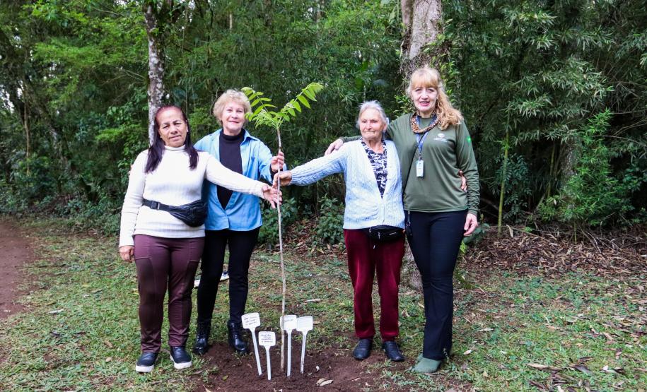 cenas do evento e de espécimes da flora