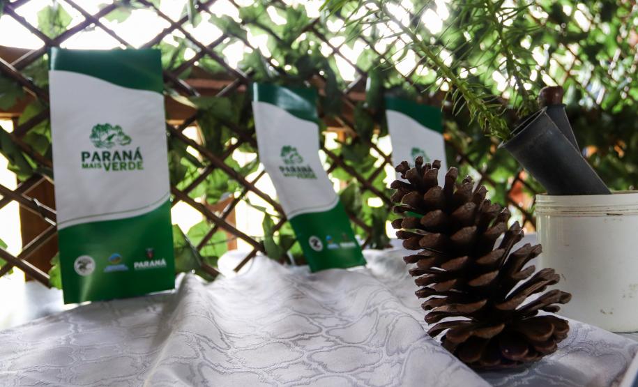 cenas do evento e de espécimes da flora