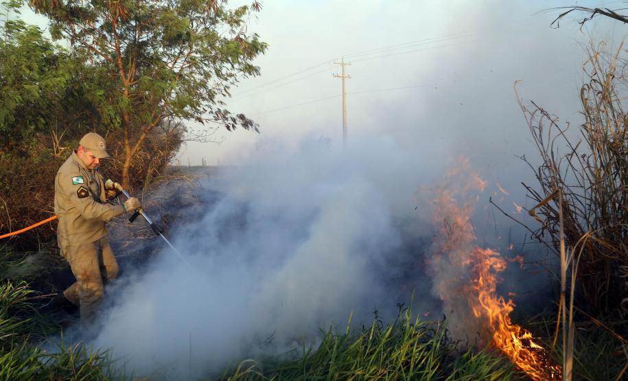 BOMBEIROS, QUEIMADAS E VEÍCULOS OFICIAIS