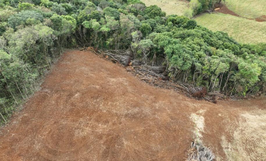 Foto aérea de área desmatada