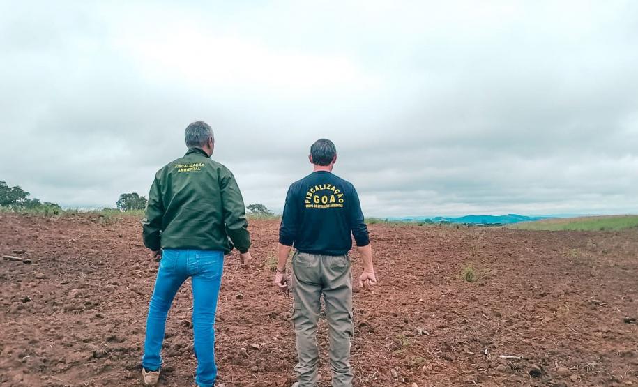 Foto de fiscais em área desmatada