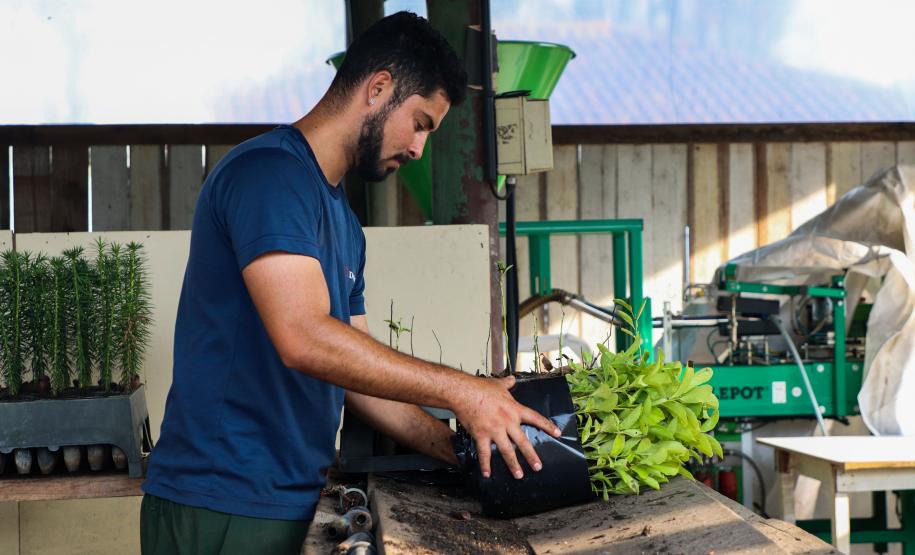 CAMPO E FRUTOS E VIVEIROS