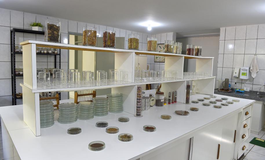 CAMPO E FRUTOS E VIVEIROS